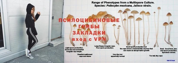 молекула духа Балабаново